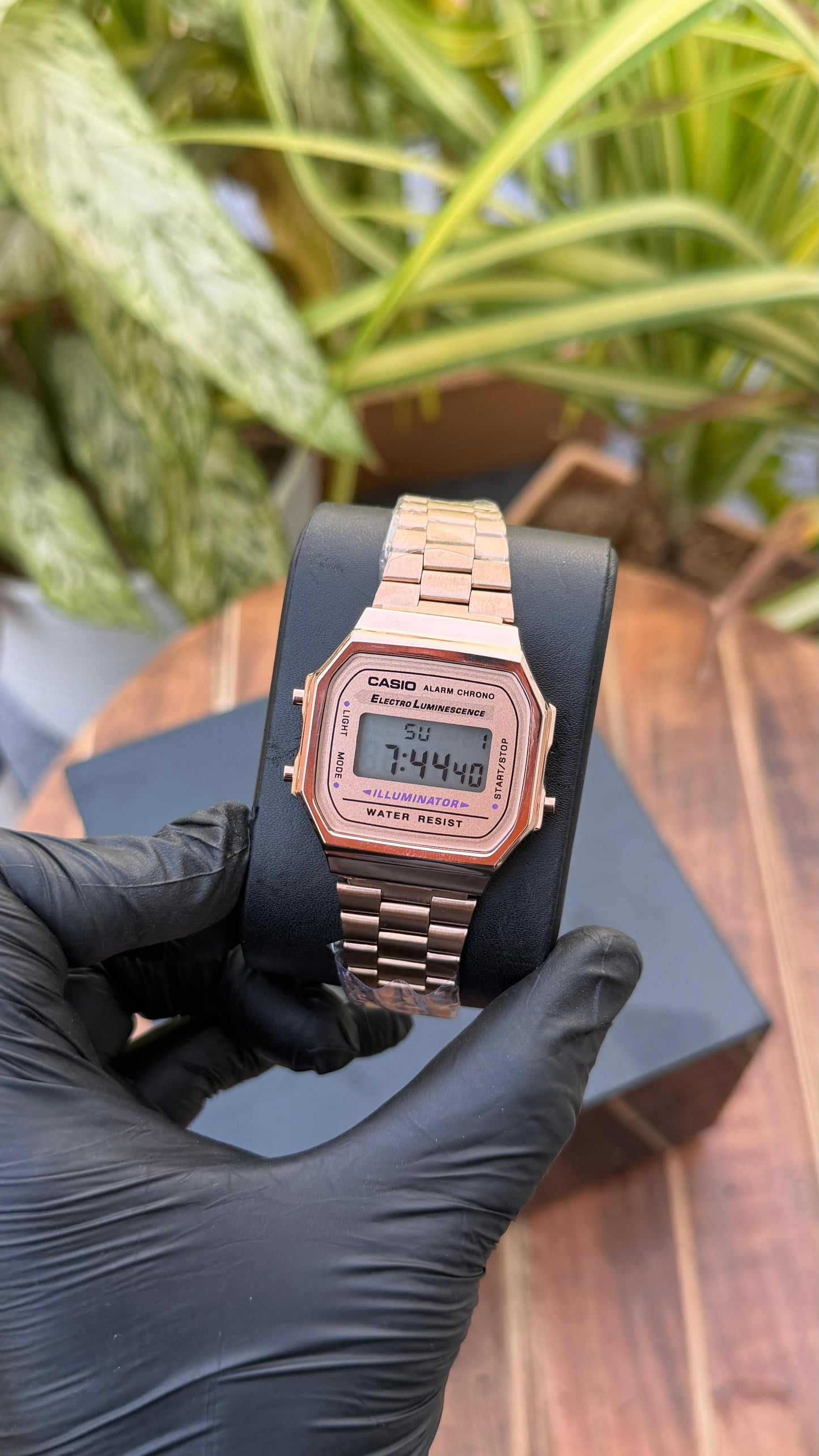 Casiio Eectro Luminescence Rose Gold Color Premium Watch For Men